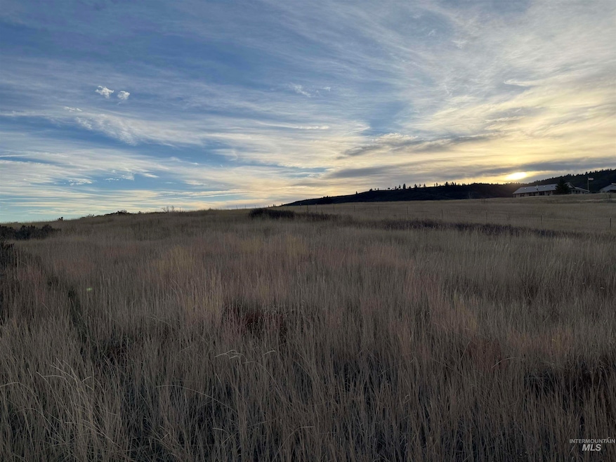 TBD Deer Loop Rd (32 Ac), Council, ID 83612 - photo 1
