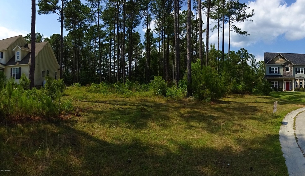 203 Canaan Ct, Jacksonville, NC 28546 - photo 1