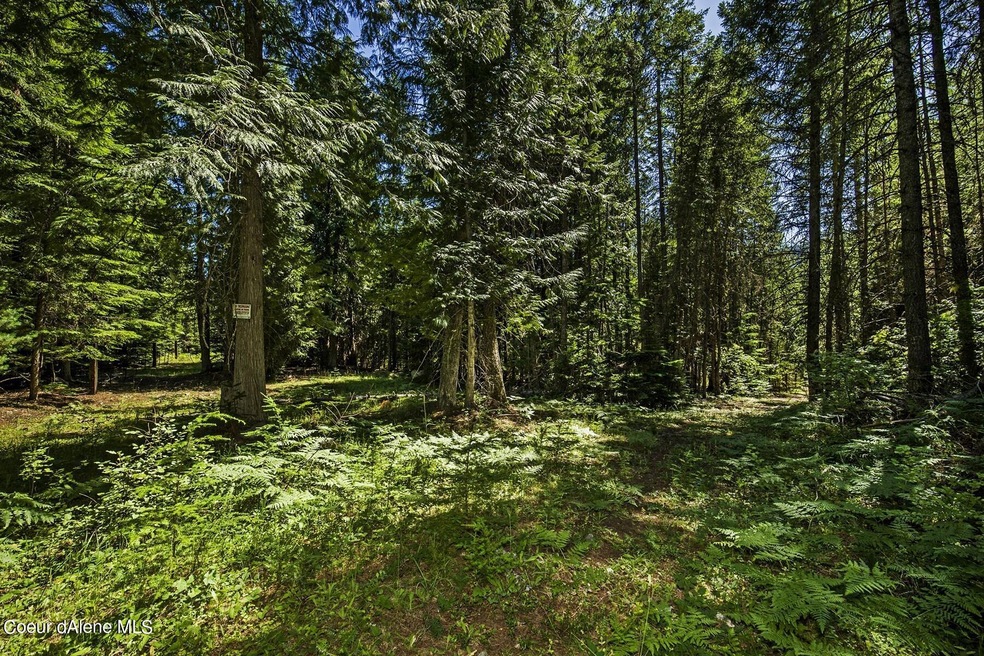 West side Property Line
