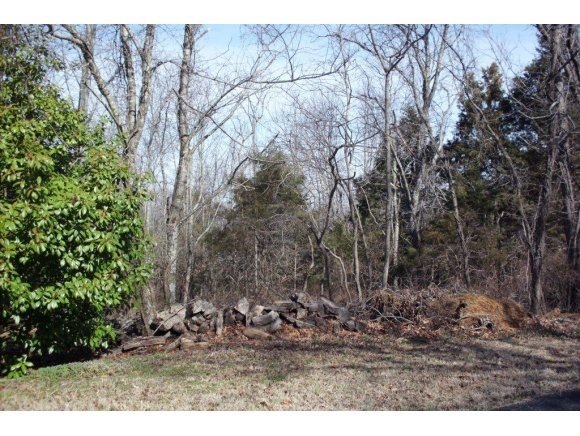 Lot 13 James View Rd, Ruth B Rural Township, MO 65686 - photo 1