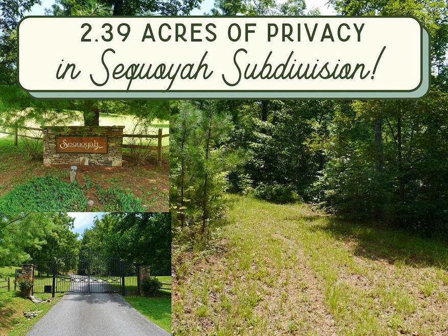 300 Sequoyah View Trail, Franklin, NC 28734 - photo 1