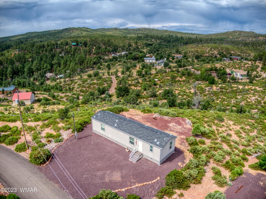 6241 Apache Trail, Show Low, AZ 85901 - photo 1