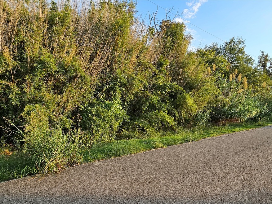 4351 County Road 945, Brazoria, TX 77422 - photo 1