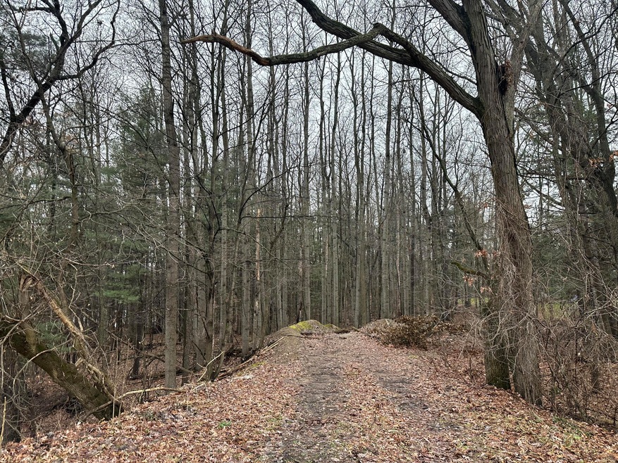 8CCCCFD3-E2C4-466F-AB0C-100F28A467B6