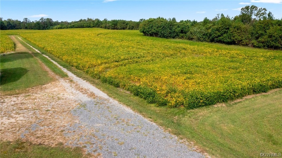 50 Ft. Right of Way. Property begins at soybean field.