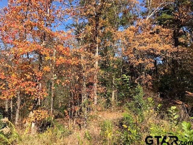 2035 Stonegate Valley Dr, Tyler, TX 75703 - photo 1