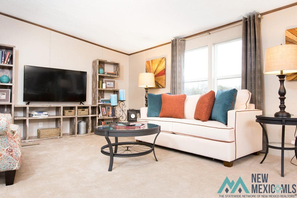 4211 Redbud St, Carlsbad, NM 88220 - photo 1