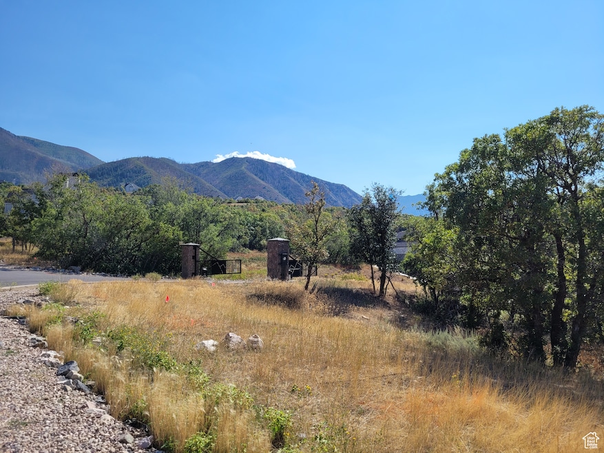 Mountain view with rural landscape
