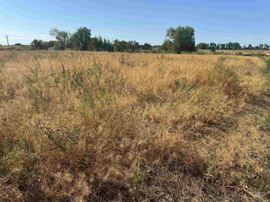 Sold • Co-Listing Agent