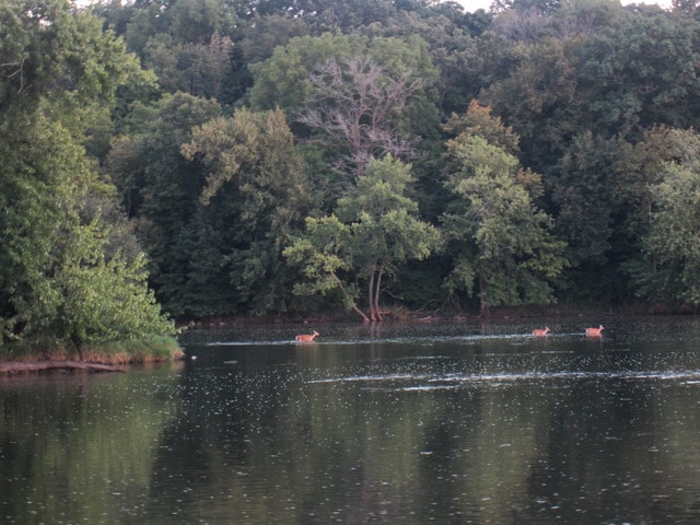 28 Riverview Ct, Oswego, IL 60543 - photo 1