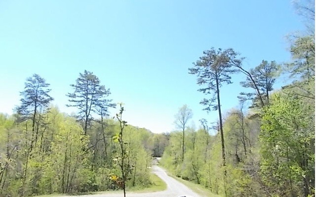 LT 21 Spring Run Dr, Blue Ridge, GA 30513 - photo 1