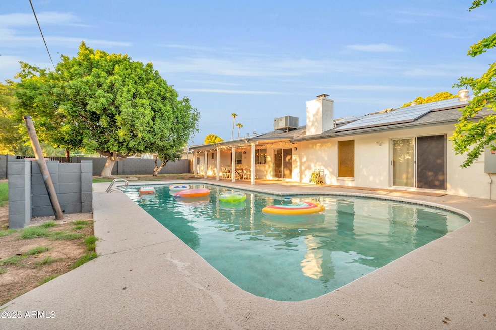 Backyard Pool