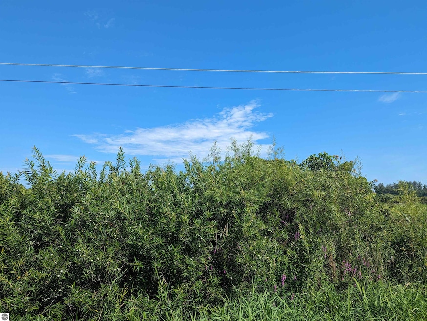 0 S Court St unit 3 1915631, Au Gres, MI 48703 - photo 1