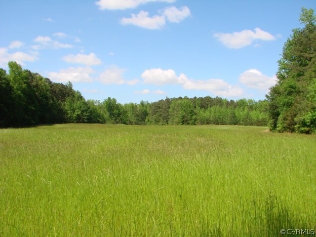 40.29 acres S Crater Rd, North Dinwiddie, VA 23805 - photo 1