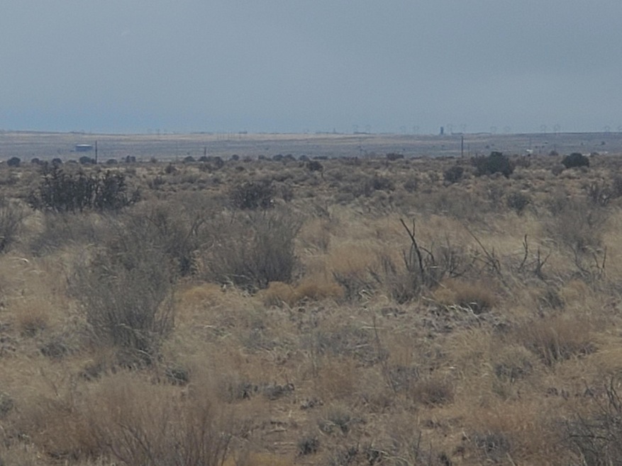 1509 9th Ave NW, Rio Rancho, NM 87124 - photo 1