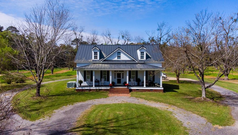 9585 Old Ga Highway 3, Baconton, GA 31716 - photo 1