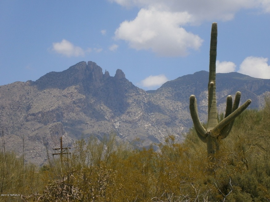 Espina Lot Mtn Views