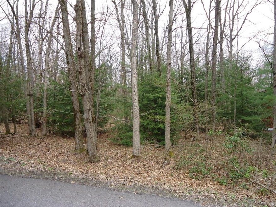 187 Mountain View, Jim Thorpe, PA 18229 - photo 1