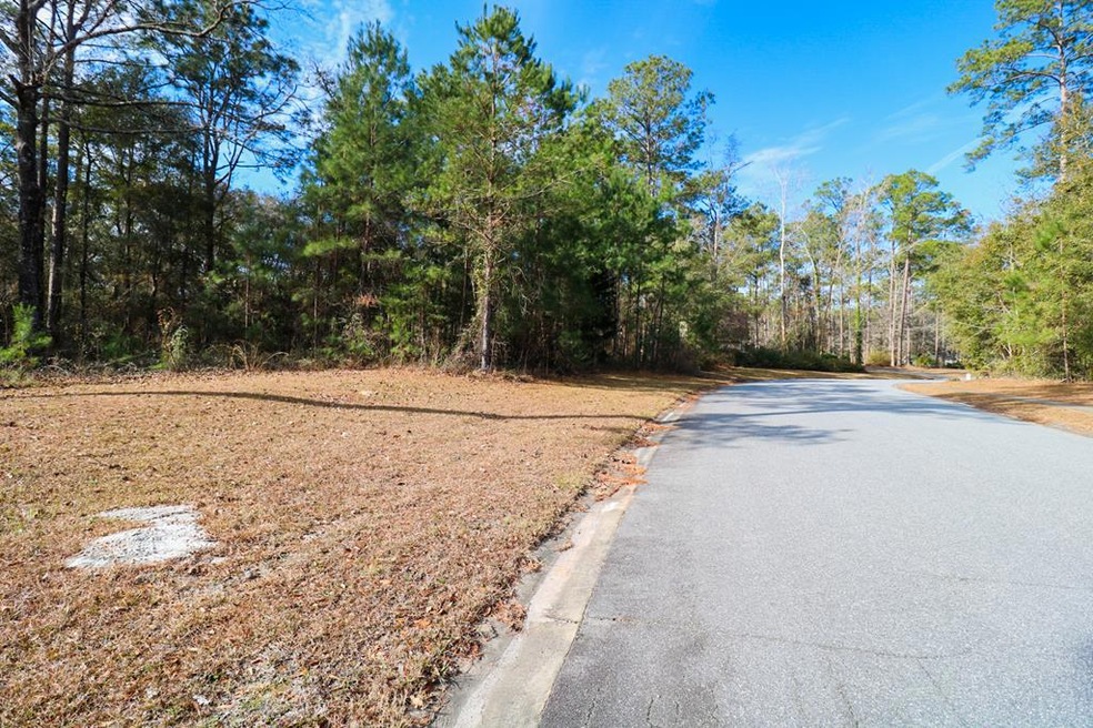 2200 Wyndham Way, Bainbridge, GA 39819 - photo 1