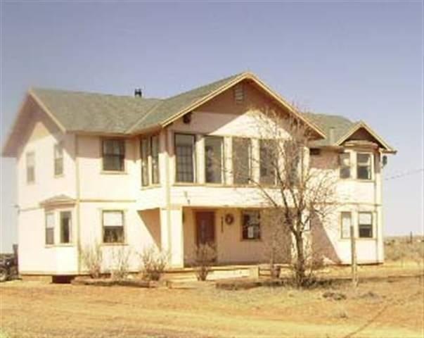 Primary Photo