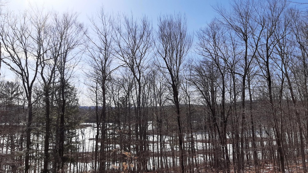 Andrews homesite