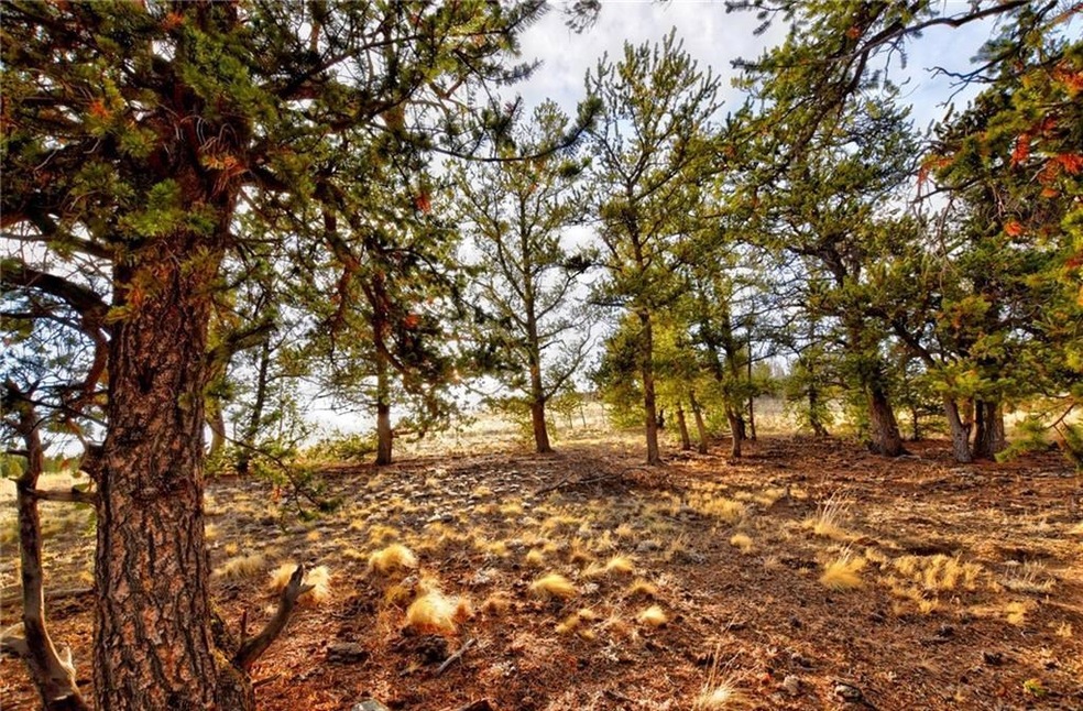 6206 Remington Rd, Como, CO 80432 - photo 1