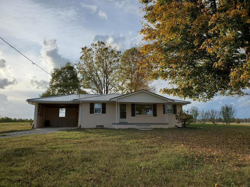 Main View