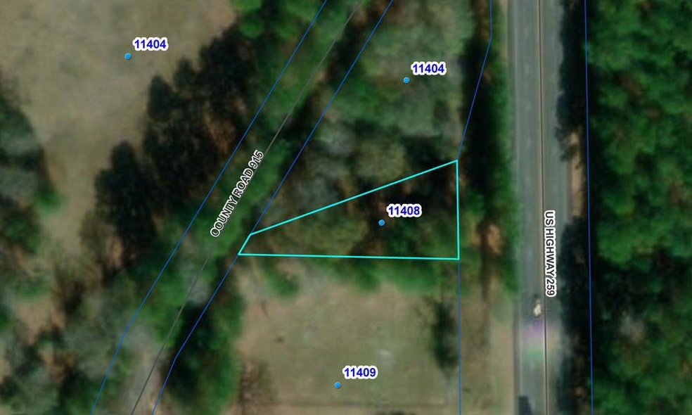 TBD U S 259, Nacogdoches, TX 75965 - photo 1