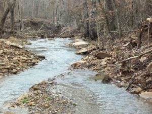 year round creek