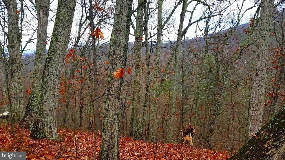 14 Carlin Ln, Great Cacapon, WV 25422 - photo 1