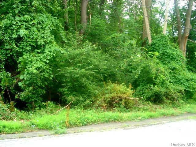 0 Lyndon Rd, Fishkill, NY 12524 - photo 1