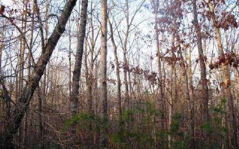 LT 12 Crabapple Ln, Ellijay, GA 30540 - photo 1