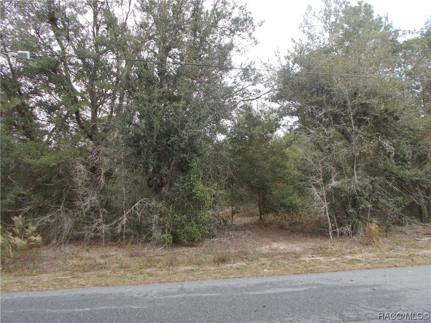 1793 E Humphrey Ln, Hernando, FL 34442 - photo 1