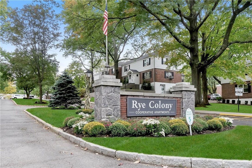13 Peck Ave unit B, Rye, NY 10580 - photo 1