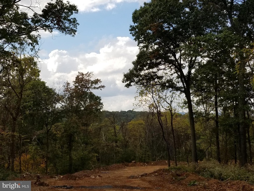 0 Lot 6 Langhorne Dr unit 1003394521, Winchester, VA 22602 - photo 1