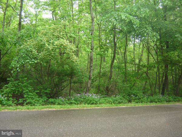 0 Not On File unit 1000236582, Ruther Glen, VA 22546 - photo 1