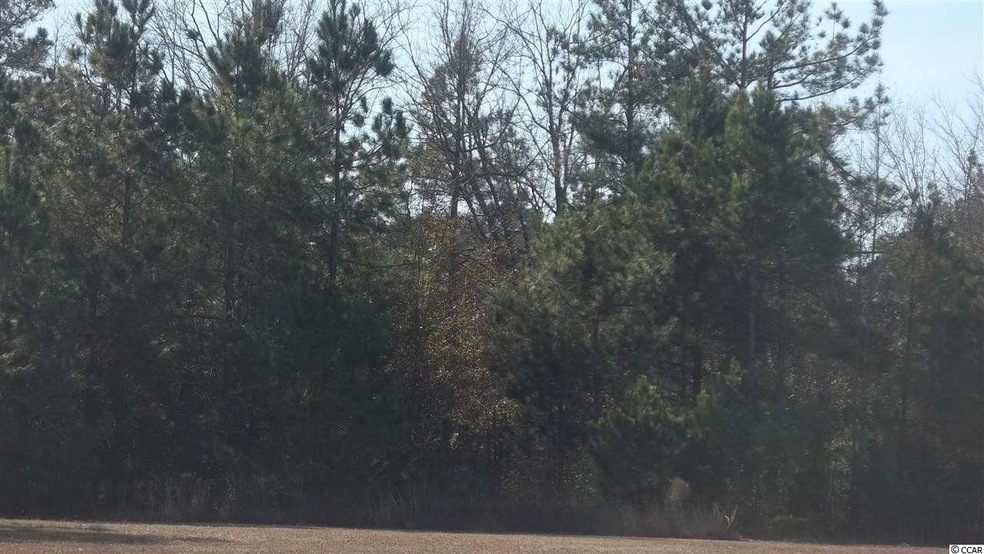 2 Hugo Rd, Conway, SC 29527 - photo 1