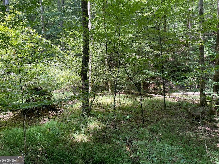 LOT 223 Bowline Dr unit 223, Ellijay, GA 30540 - photo 1