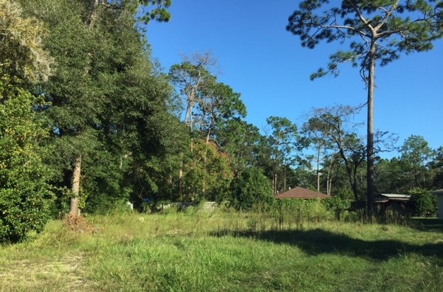 .32 lot on paved road not far from shopping!  Grea