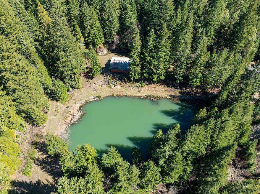 Cabin and Pond