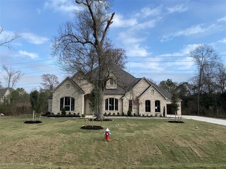 31118 Roanoke, Tomball, TX 77375 - photo 1