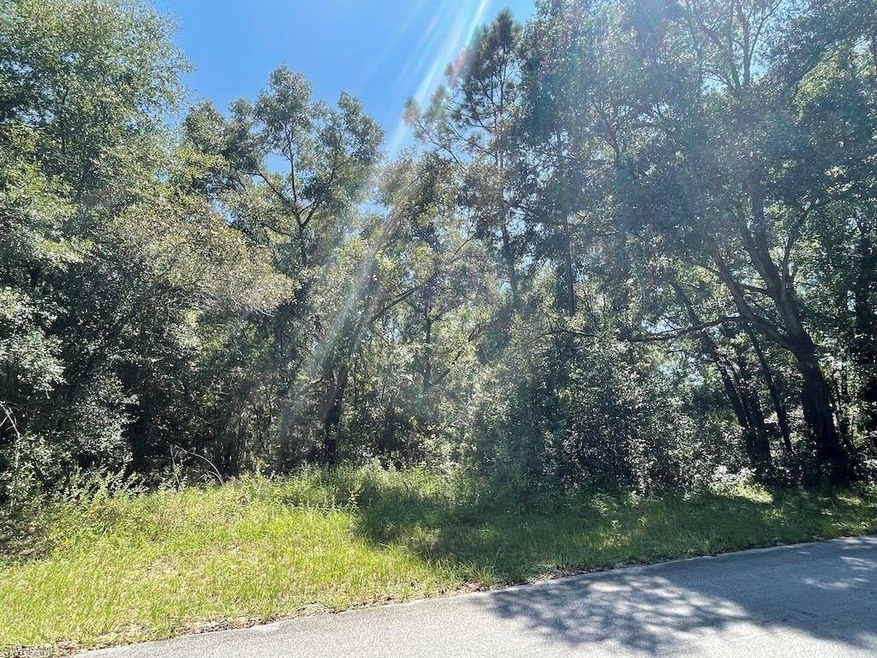 Dunnellon