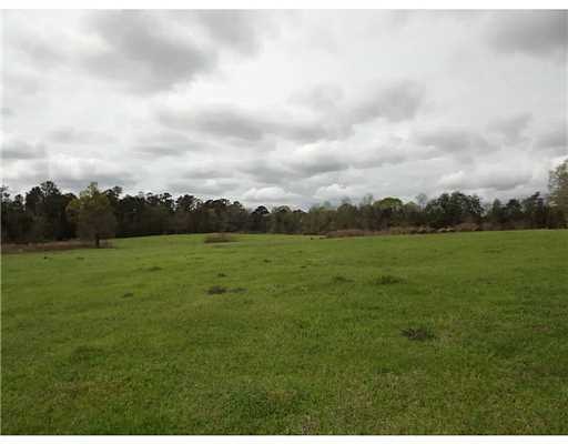 0 Debert Adams Rd, Lucedale, MS 39452 - photo 1