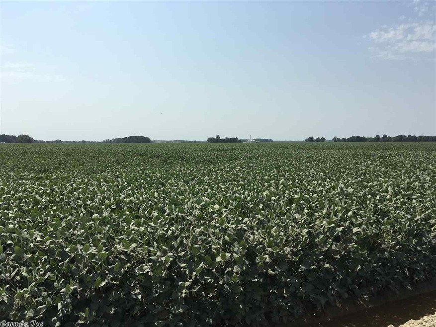 0 Tilley Ln unit 19029482, Waldenburg, AR 72475 - photo 1