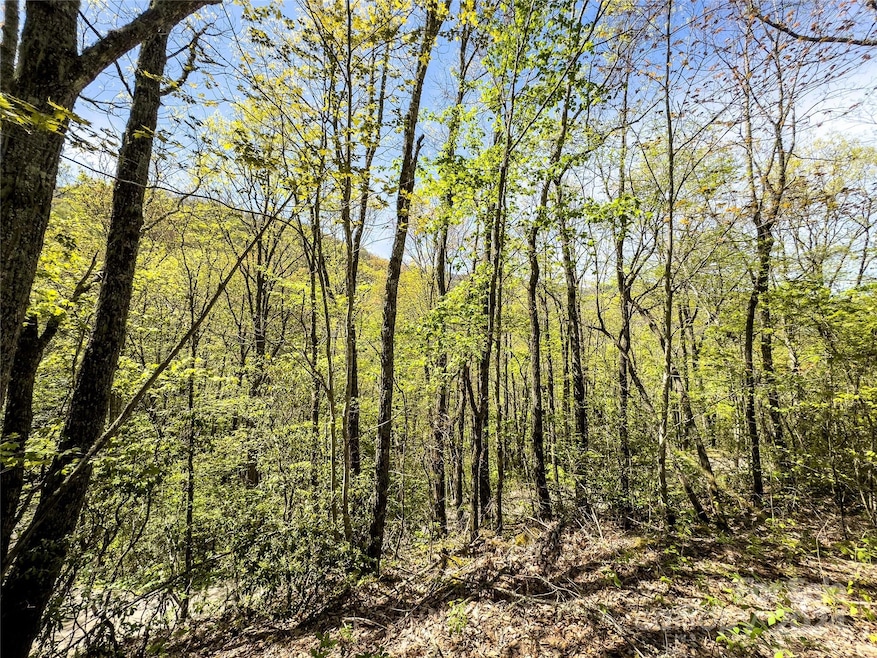 2414 Black Rock Rd unit 72, Cherokee, NC 28719 - photo 1