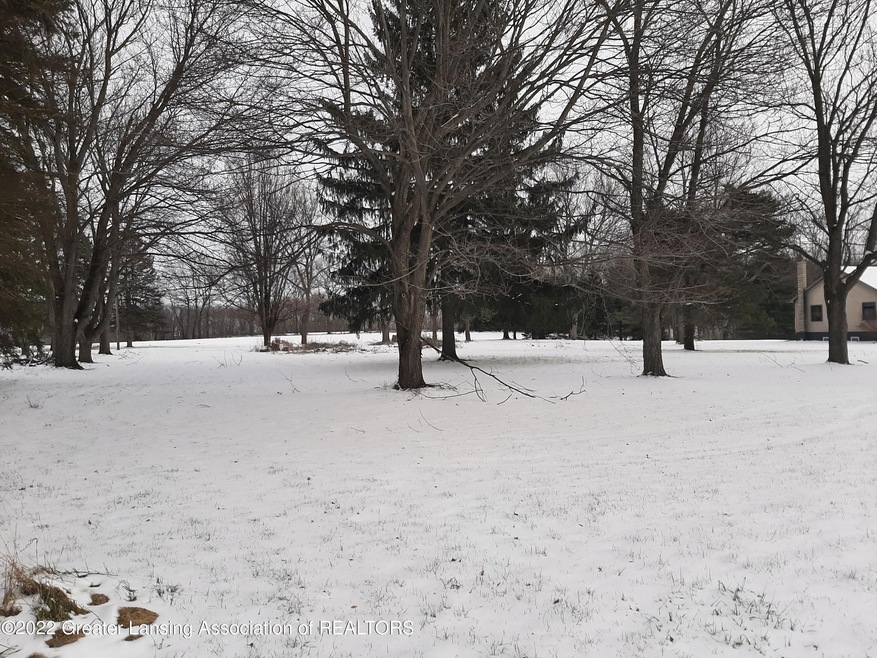 0 M-52 Hwy unit 261982, Perry, MI 48872 - photo 1