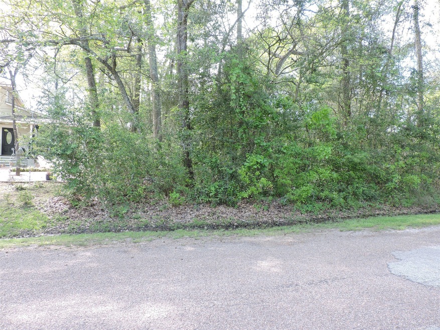 Lot 13 Arrowhead Loop W.