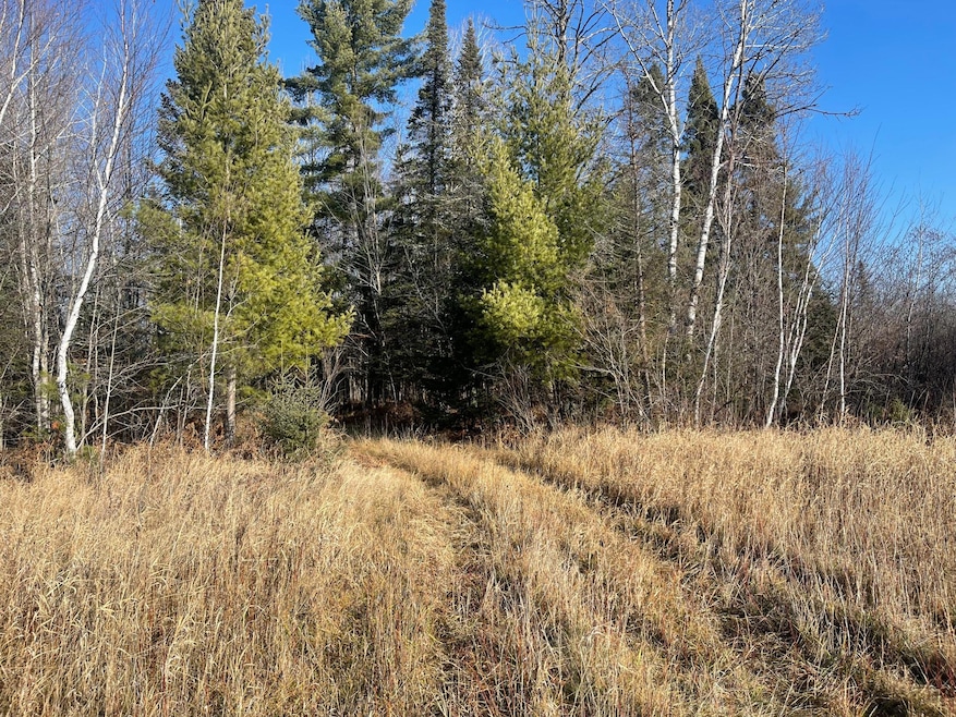 14730 County Road 25, Wawina Township, MN 55736 - photo 1