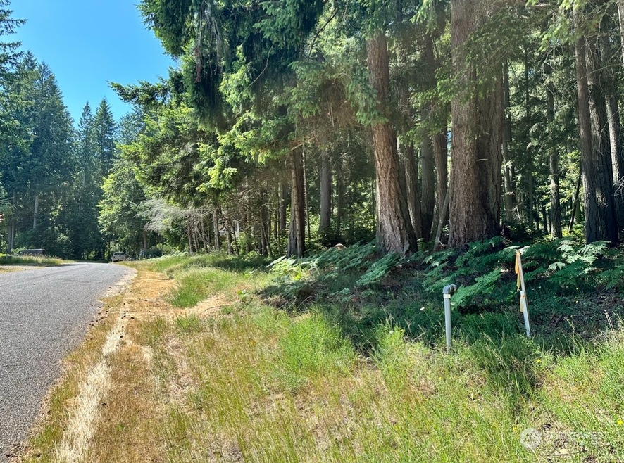 10224 Totem Way, Anderson Island, WA 98303 - photo 1