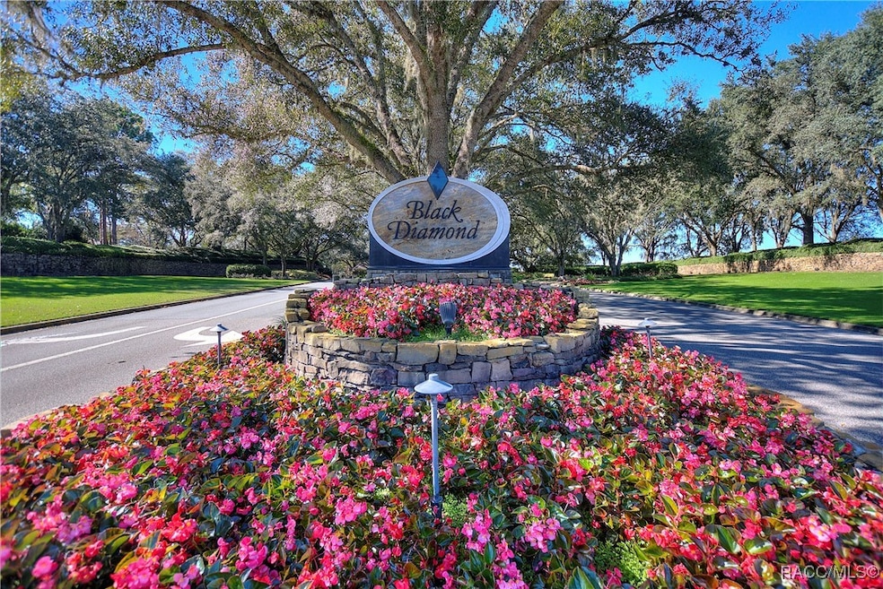 2598 N Troon Path, Black Diamond, FL 34461 - photo 1